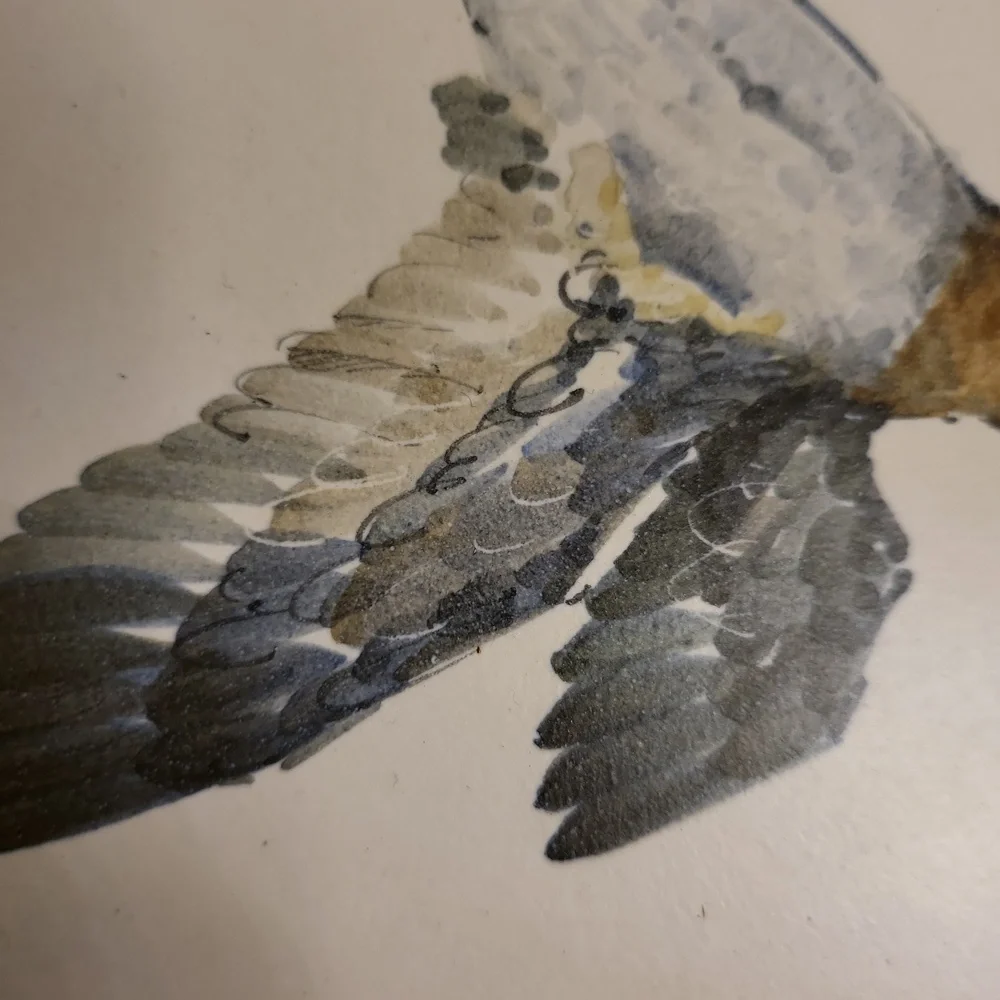 Guillot Curard Hand Painted Duck Mallard Porcelain Bisque Plate Wall Hanging - Picture 4 of 8